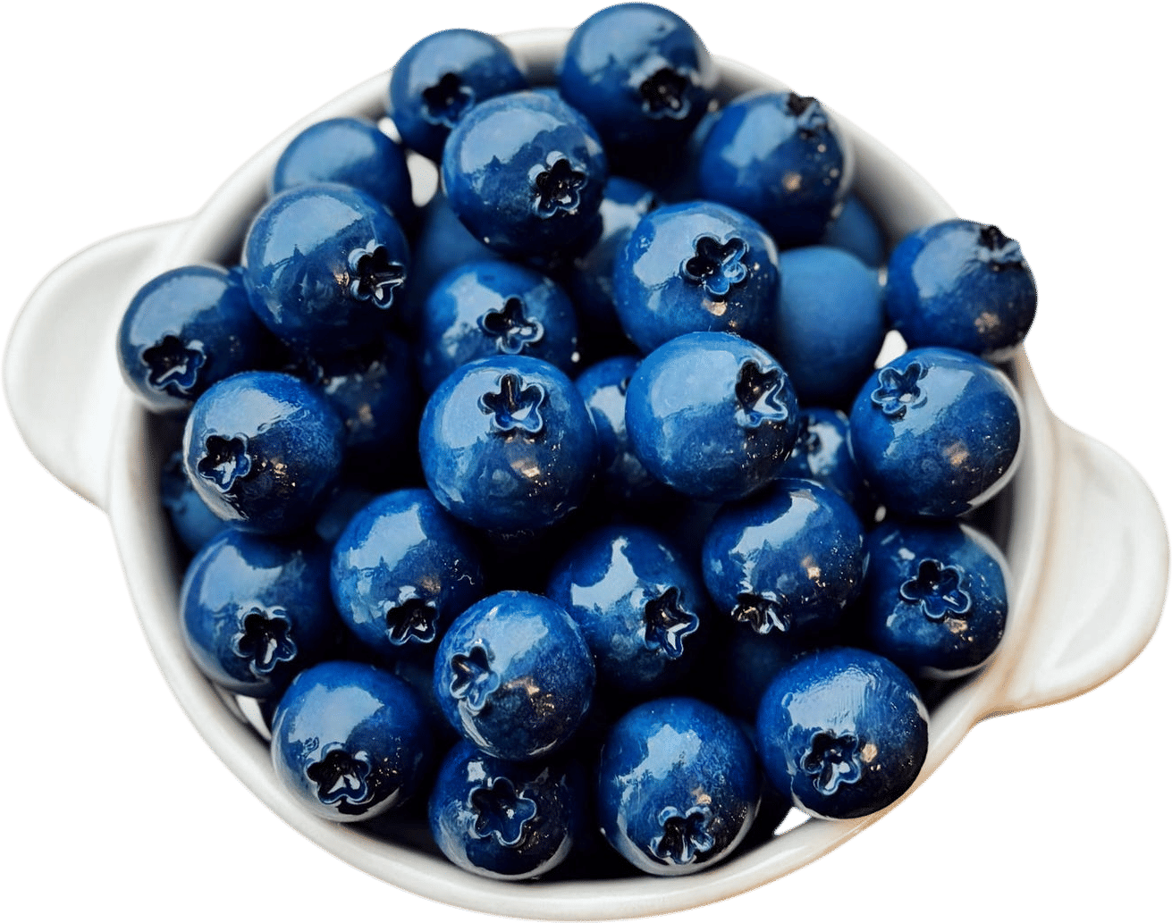 Blueberry Magnets