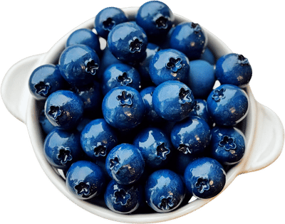 Blueberry Magnets