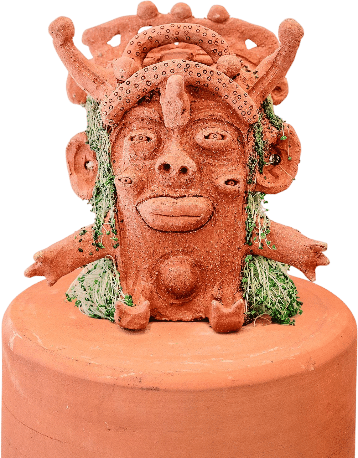 Cara de planta