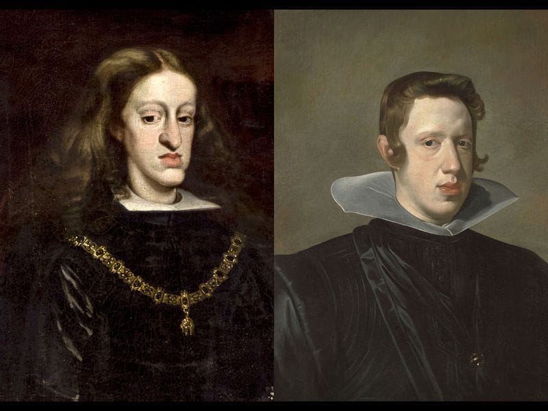 The Habsburg Jaw (Smithsonian Magazine Article)