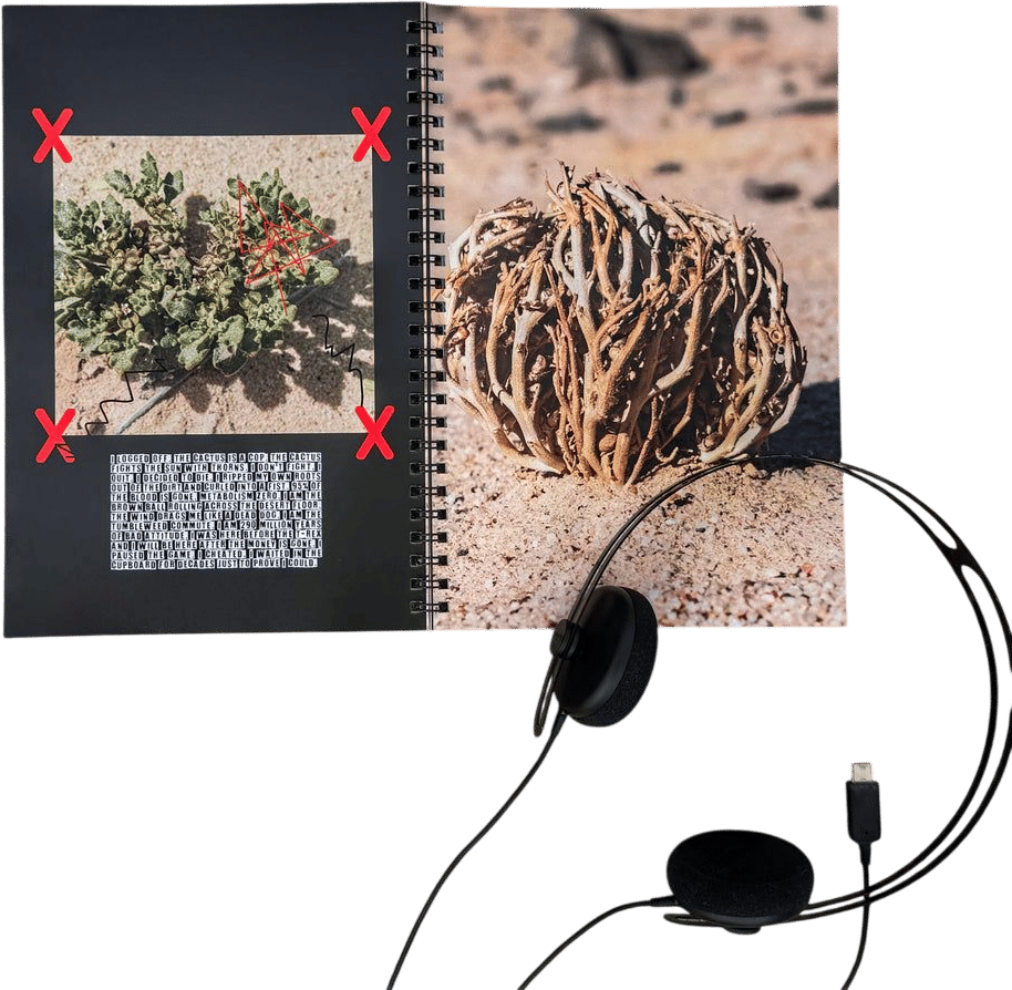 Forest Bathing for Punks