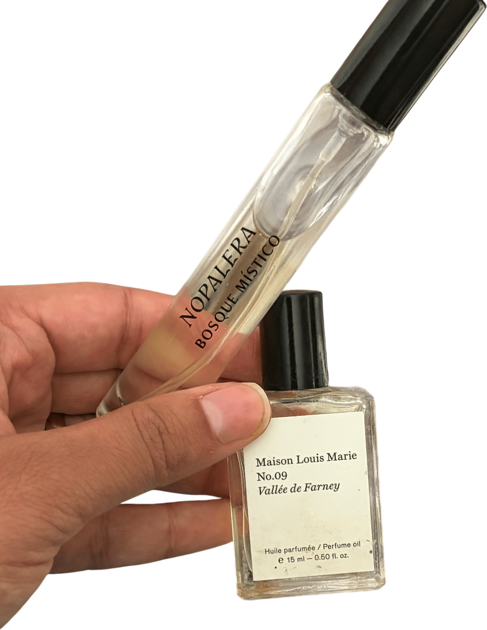 bosque místico by Nopalera & no 9 by Maison Louis Marie
