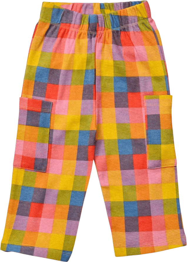 Bolinas Picnic Baby Pants – Young Days