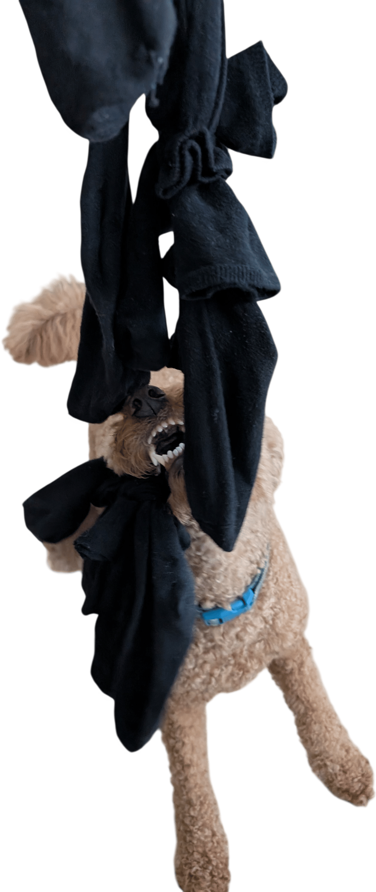 Make a toy out of your old socks