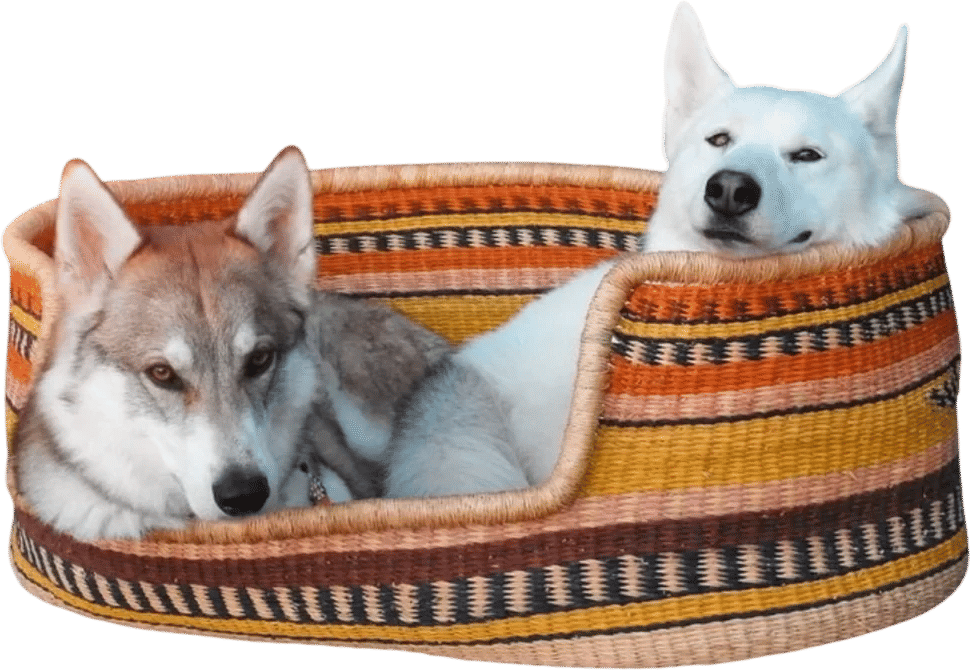 African Handmade Woven Pet Bed by Zaarefolks