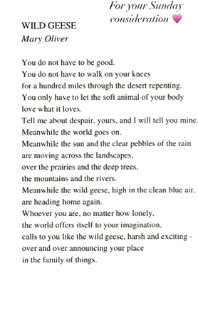 Wild Geese, Mary Oliver