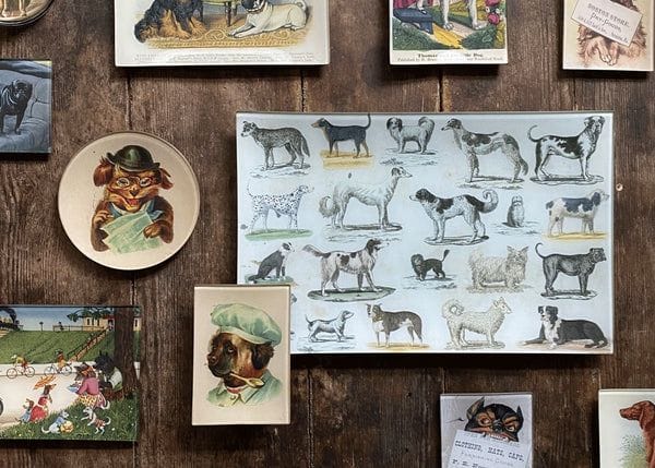John Derian (NYC)