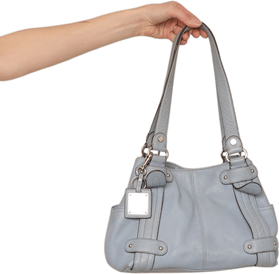 Blue Tignanello Bag | Khata Space