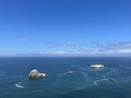 Trinidad Head Trail