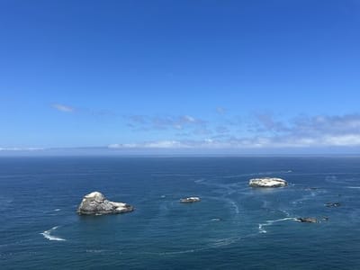 Trinidad Head Trail
