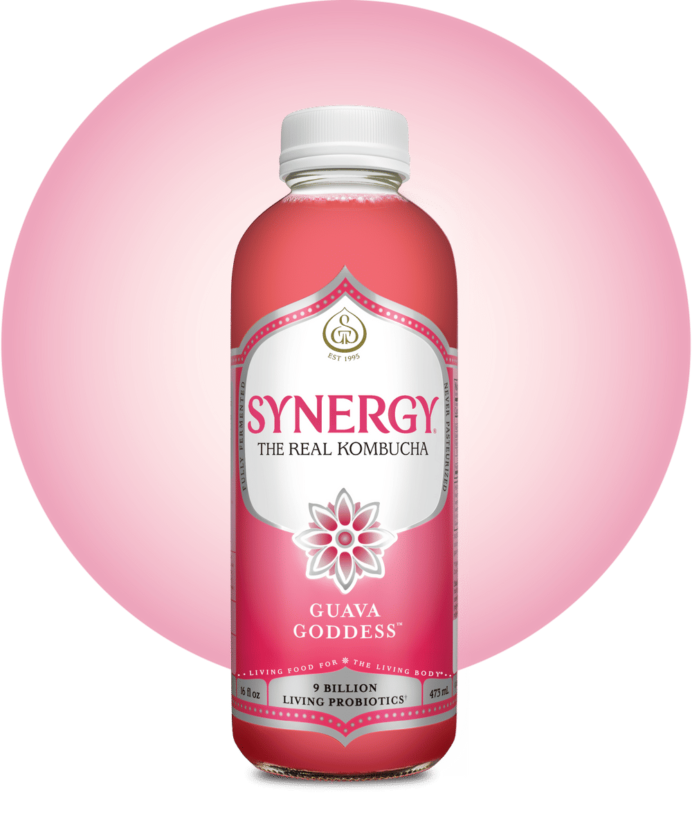 Synergy Guava Goddess Kombucha