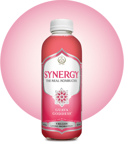 Synergy Guava Goddess Kombucha