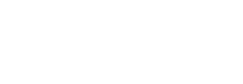 Stein’s Market