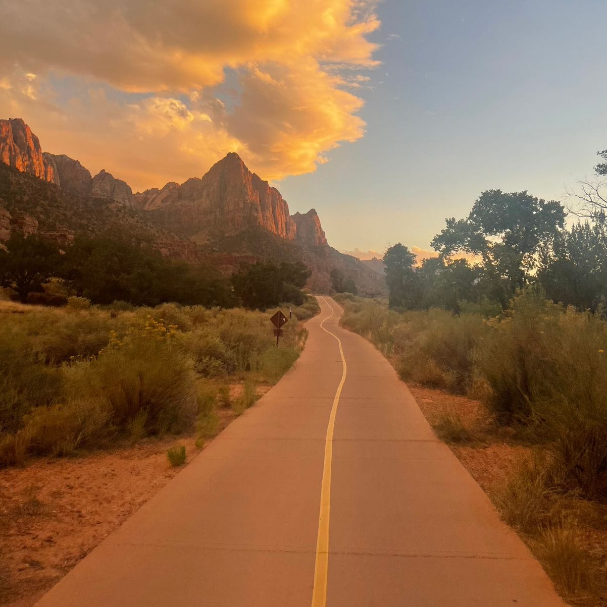 Ebiking in Zion