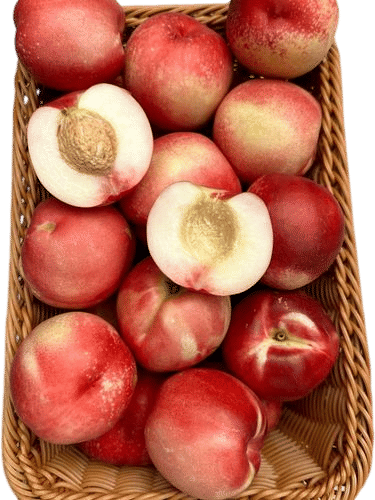 White Nectarines from Ken's Top Notch Farm