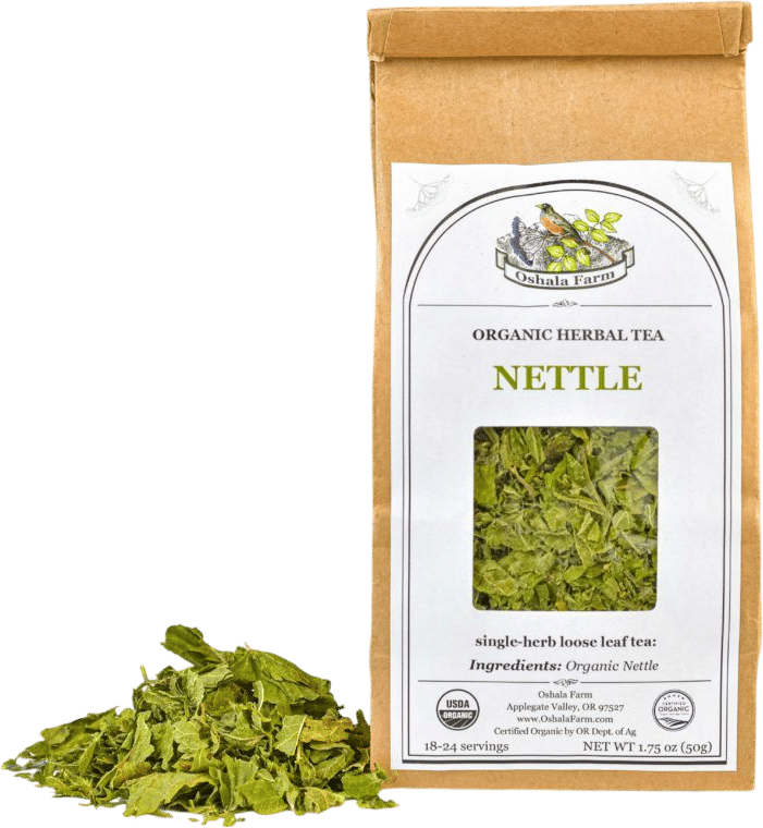 nettle tea