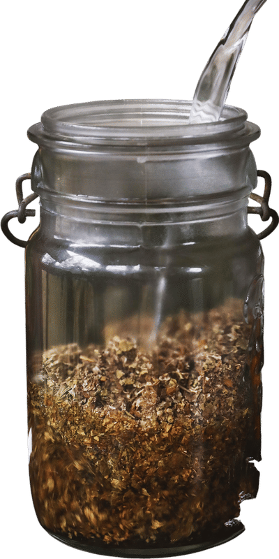 Red Raspberry Leaf Tea