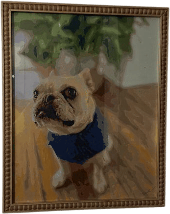 Custom paint-by-numbers canvas