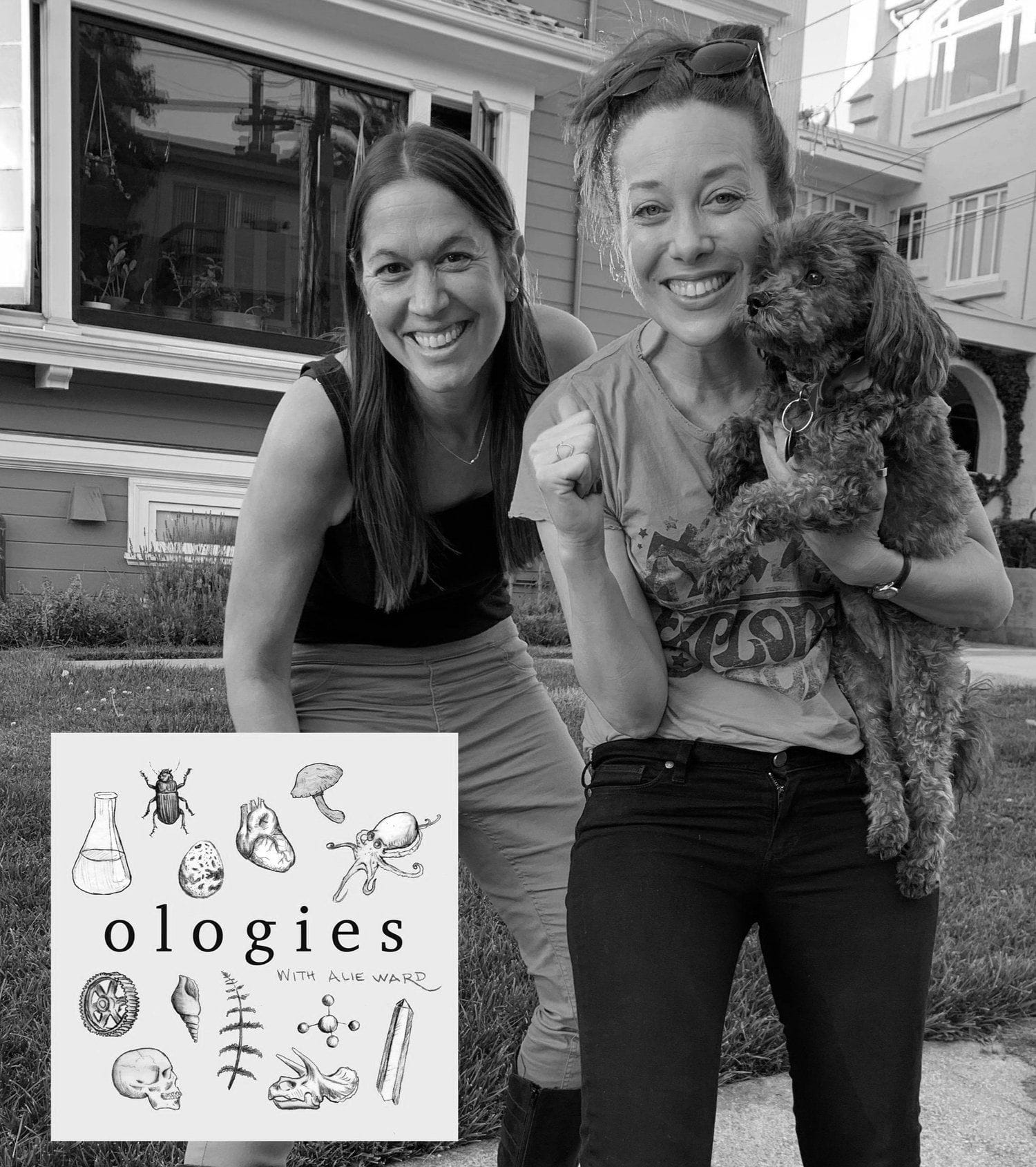This Ologies episode on dolorology (pain)