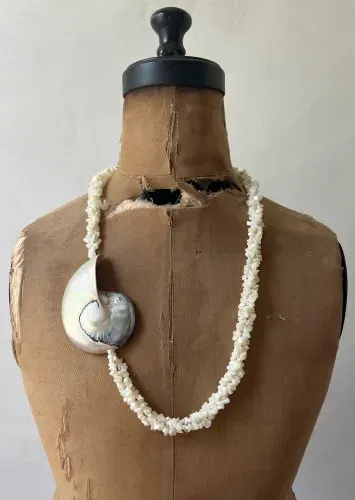 Mother of Pearl & Shell Necklace
