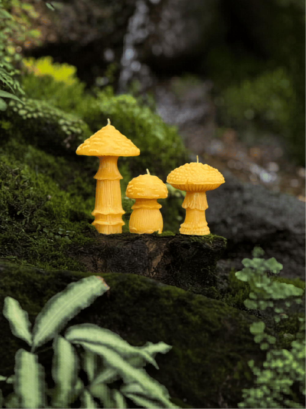 Amanita (Slow Burn)
