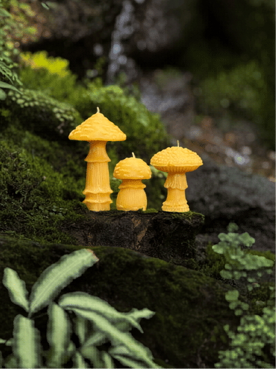 Amanita Mushroom Candle