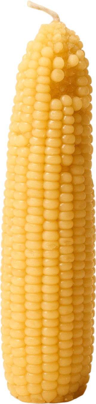 Big Night Beeswax Corn Candle
