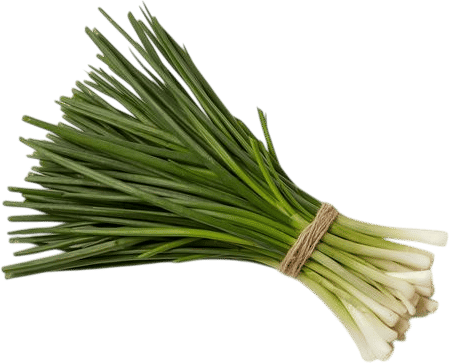 Chives