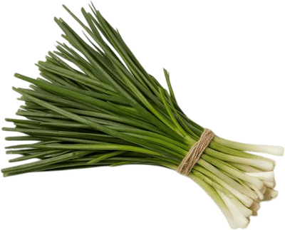 Chives