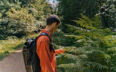 Your guide to forest bathing