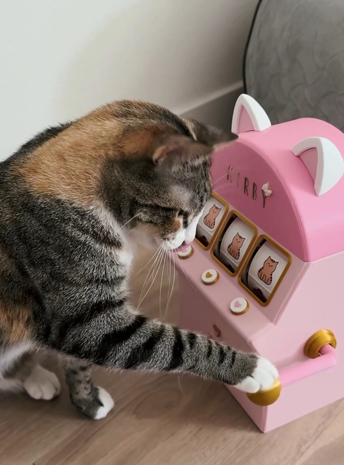 Cat Slot Machine