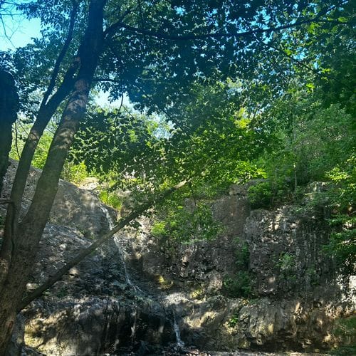 walking on a scenic trail