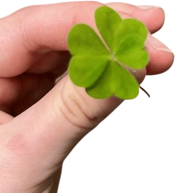 actively increasing your surface area for luck to hit you