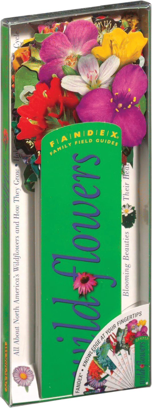 Field Guide: Wildflower Cards