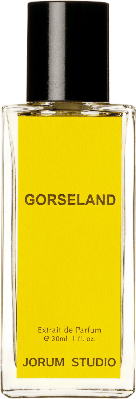 Gorseland jorum studio