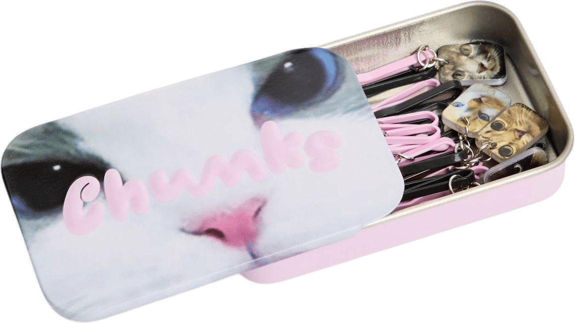 Kitty Bobby Pins