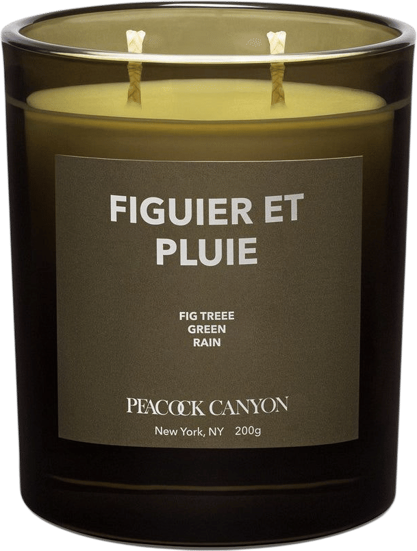 Peacock Canyon Figuier et Pluie Scented Candle