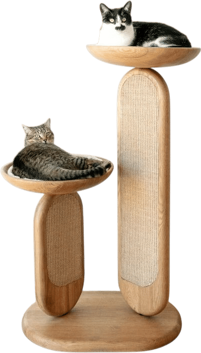 Gravity Modern Cat Tree