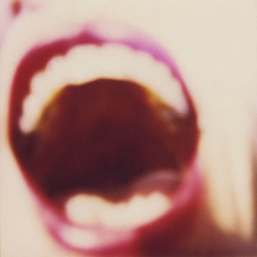 Wendy Babcox, Untitled from the series Anthem, 1998/2019