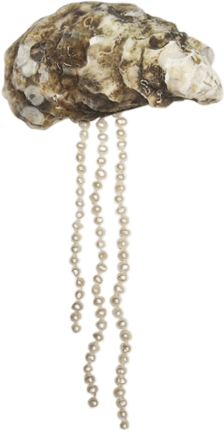 Mosquito Pearly Hair Clip – Oyster Shell & Italian Pearls