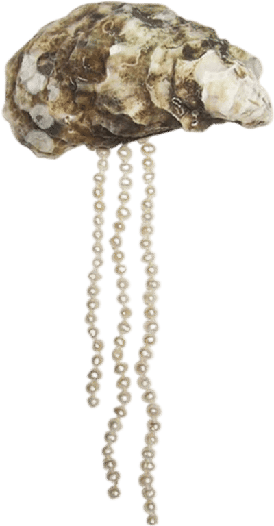 Pearly Hair Clip – Oyster Shell & Italian Pearls