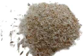 Psyllium Fiber
