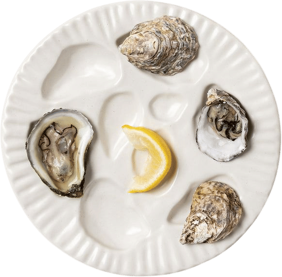 Porcelain Oyster Plate