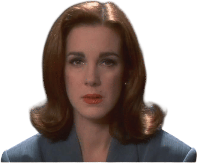 Elizabeth Perkin’s hair