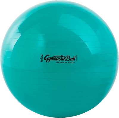 Original Pezzi GymnastikBall