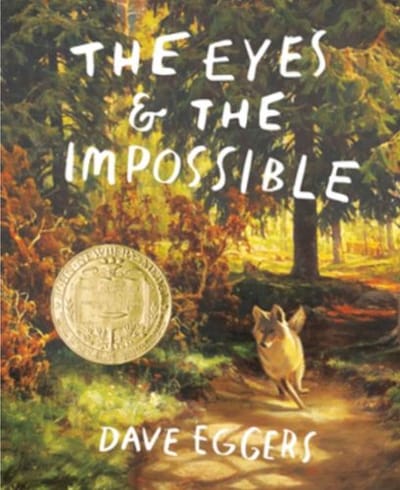 The Eyes and the Impossible