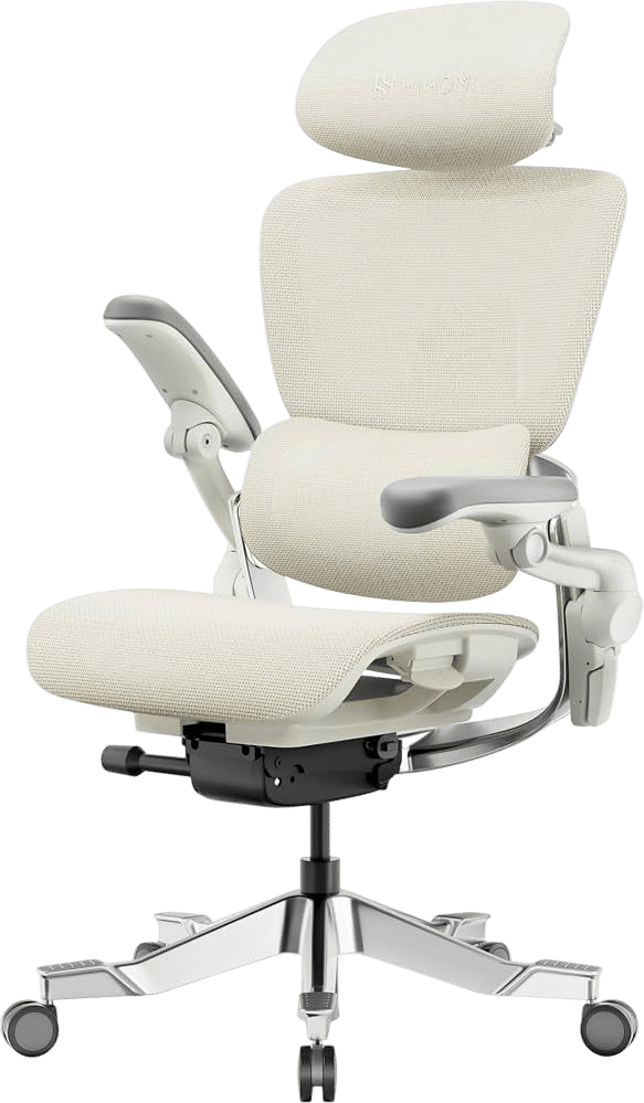 H2 Pro Ergonomic Chair