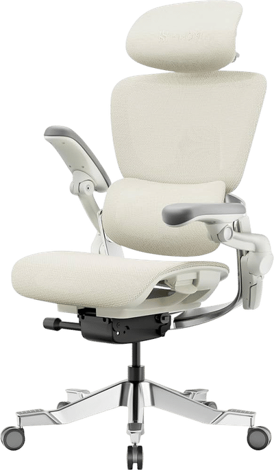 H2 Pro Ergonomic Chair