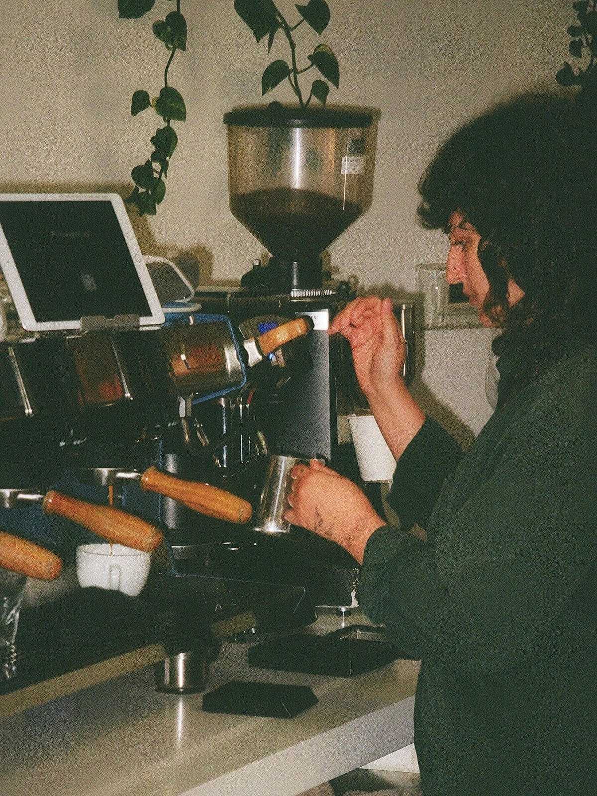 Dinosaur Coffee - Silver Lake