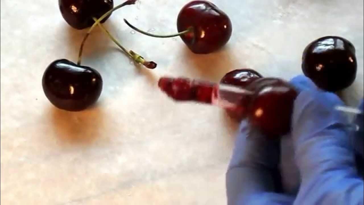 pitting cherries with a metal straw